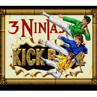 3 Ninjas Kick Back
