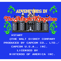 Adventures in the Magic Kingdom