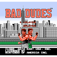 Bad Dudes