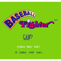 Baseball Fighter