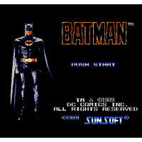 Batman: The Video Game