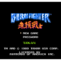 Burai Fighter