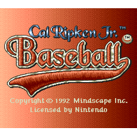 Cal Ripken Jr. Baseball