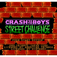 Crash 'n' the Boys: Street Challenge