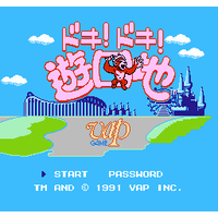 Doki! Doki! Yuuenchi: Crazy Land Daisakusen