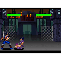 Double Dragon V: The Shadow Falls