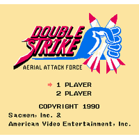 Double Strike: Aerial Attack Force