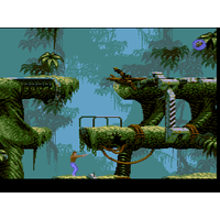 Flashback: The Quest for Identity