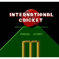 International Cricket