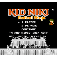 Kid Niki: Radical Ninja