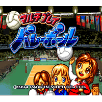 Multi Play Volleyball