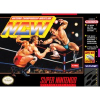 Natsume Championship Wrestling